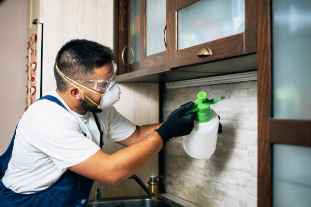 Best Insect Control  in Maryville, TN