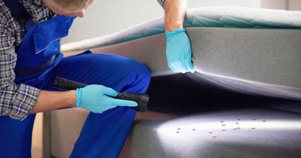 Best Cockroach Control Services  in Maryville, TN