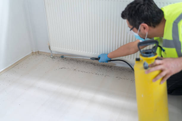 Best Affordable Exterminators  in Maryville, TN